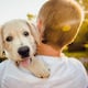Estas Son Las 10 Razas de Perros Que Forman Los Lazos EMOCONALES MÁS Profundos con sus Dueños 